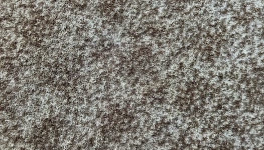 AN UNREMARKABLE BEAUTY VINTAGE CARPET