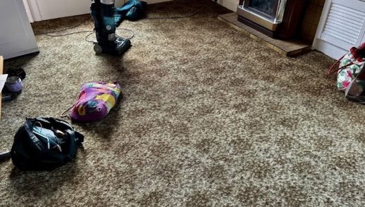 AN UNREMARKABLE BEAUTY VINTAGE CARPET